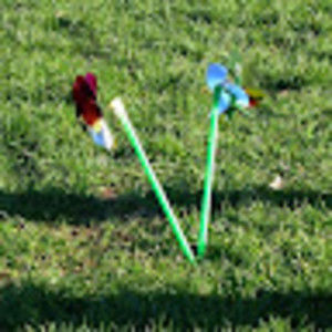 Meet your Posher, Miriam